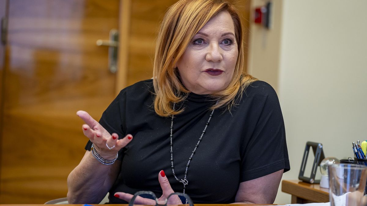 Schodek rozpočtu se rýsuje nad 300 miliard, připustila Schillerová